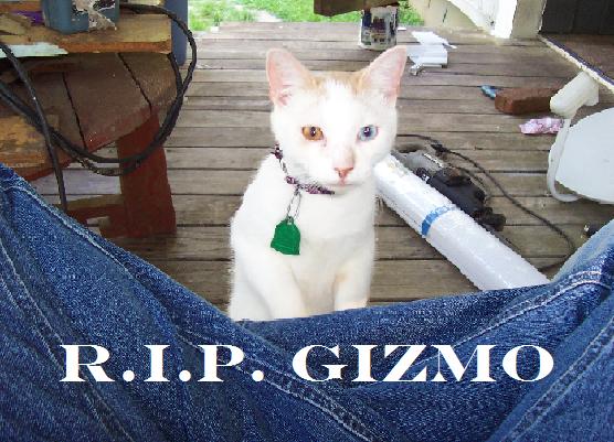 restinpeace.JPG