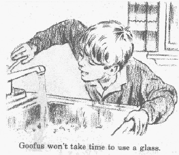 goofus.bmp.jpg