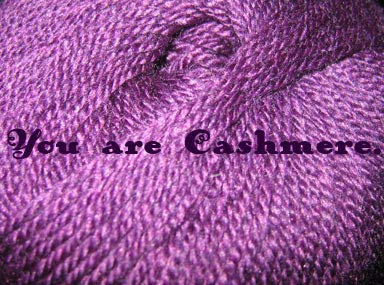 You are Cashmere.