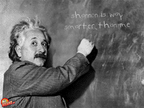 shannoneinstein.gif