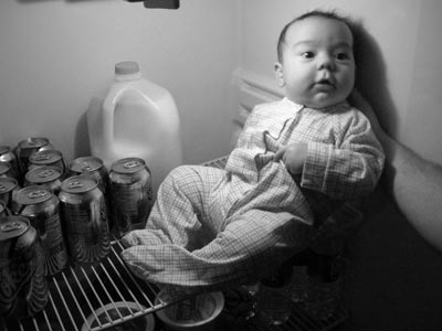 Sitting in the fridge