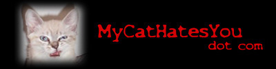 Welcome to MyCatHatesYou dot com