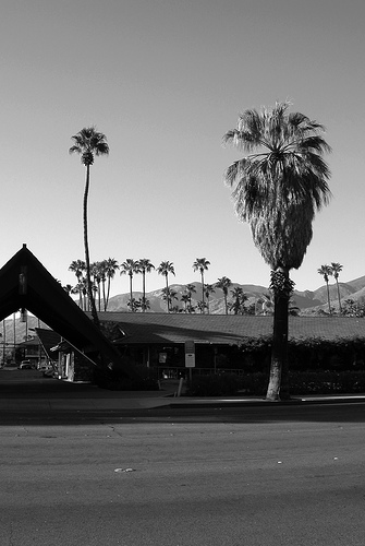 palmspringshotel.jpg