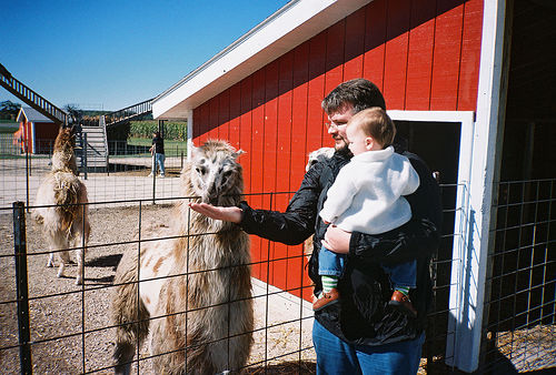 SofieDaddyLlamas